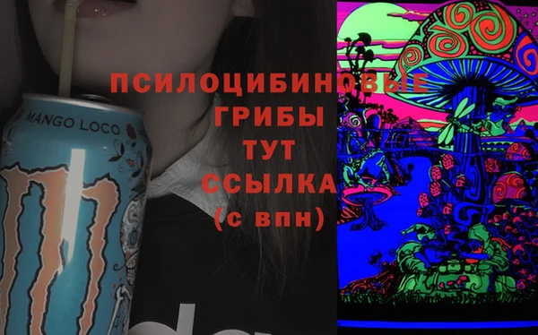 2c-b Алексеевка