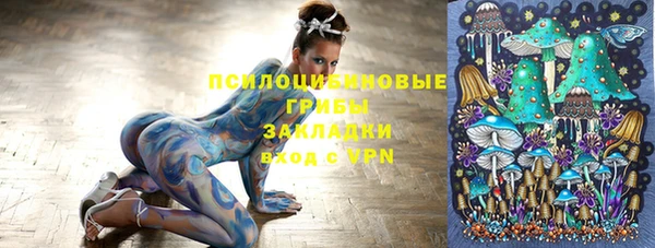 хмурый Абинск