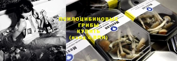 гидропоника Алзамай