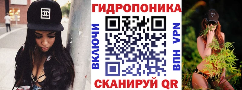 Канабис OG Kush  Микунь 